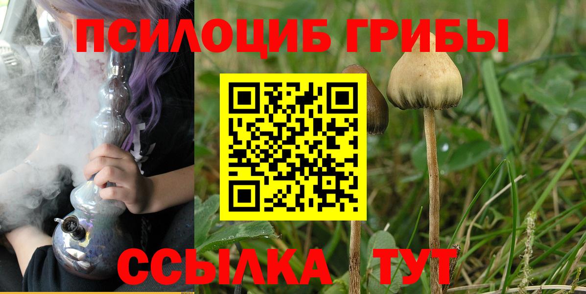 Лениногорск  Псилоцибиновые грибы мицелий  Галлюциногенные грибы Psilocybine cubensis  Вход с VPN 